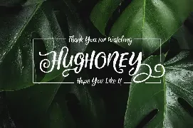 Hughoney font