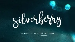 Typographer's Dream Box + 200 Logos font