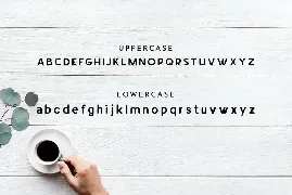 LYNCER - Modern and minimalis font