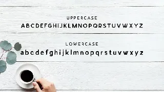 LYNCER - Modern and minimalis font