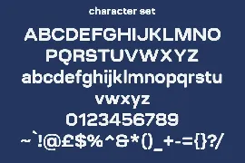 Sonner Sans Display Font