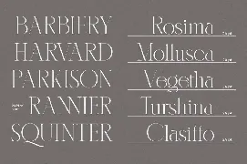 Karlotte - Elegant Serif Font