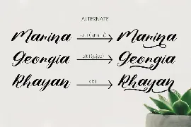 Nona Diana - Script Font