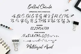 Berlliont a Handwitting Font