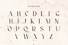 Quloon - Modern Ligature Font