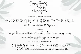 Everything Has Changed font