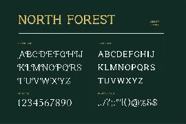 North Forest Vintage Serif Font