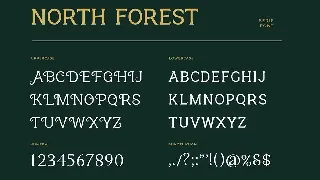 North Forest Vintage Serif Font