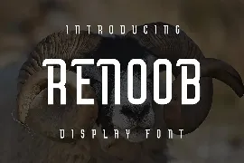 Renoob font