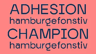 Morgaty Sans Display Font