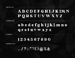 Galorine Serif Font