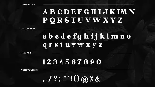 Galorine Serif Font