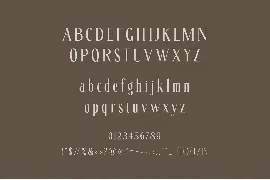 Fitanova - Classy Serif font