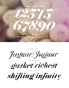 Jitzu Typefamily font