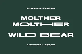 Molther Sans Display Font