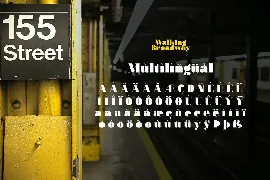 Walking Broadway - Bold Type font