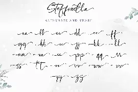 Steffinella font