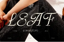 Artisan Paris | Display Font