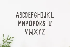 Candace A Handwritten Font + Bonus