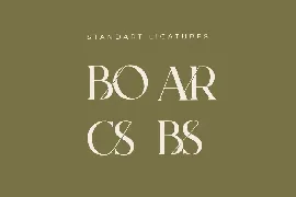 Bodar Serif Display Font