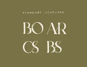 Bodar Serif Display Font