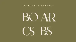 Bodar Serif Display Font