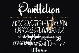 Panttelion font