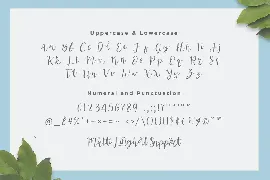 Scolastica - Handwriten Script fonts