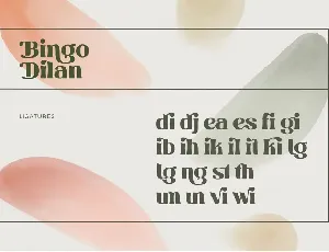 Bingo Dilan - Logo Font