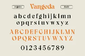 Vangeda - Modern Serif Font