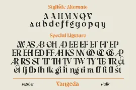 Vangeda - Modern Serif Font