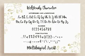 Welstendy - Modern Calligraphy Font