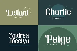 Normand Brendan Serif Font