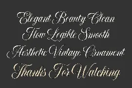 Elisabetta Script font