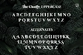 The Chaffy font