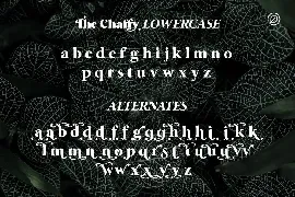 The Chaffy font