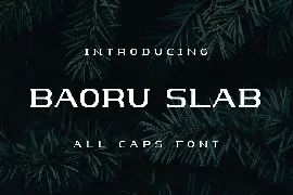 Baoru Slab font