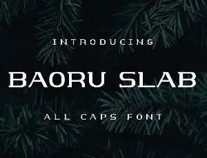 Baoru Slab font