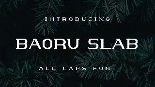 Baoru Slab font