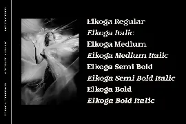 Elkoga - Round Serif Typeface font