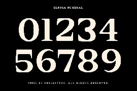 Elkoga - Round Serif Typeface font