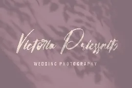 Loveless - Wedding Calligraphy Font