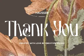 Hausser Modern Display font