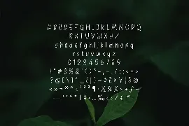 Binahong - Modern Minimal Sans Serif Font