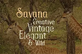 Savana - Display Font