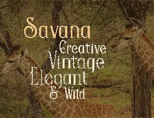 Savana - Display Font