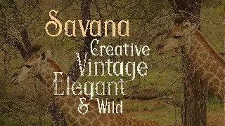 Savana - Display Font