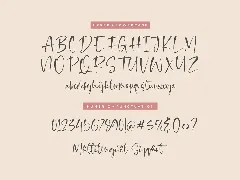 Admirable Script Font