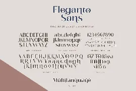 Eleganto Sans font