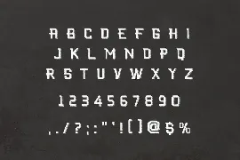 Ricky Brandon Serif Display Font